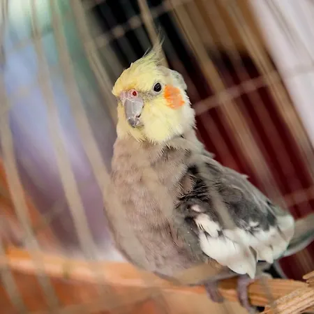 Park Perla ゴールデンサンド