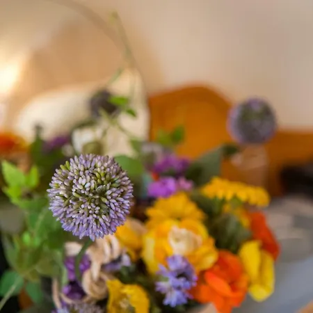 Park Perla Aranyhomok