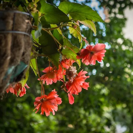 Park Perla فندق 4*